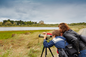 touristes observant oiseaux