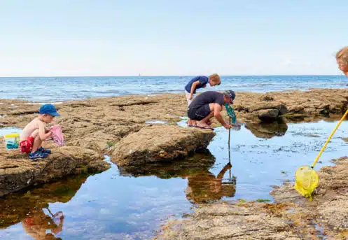enfants jouant a maree basse
