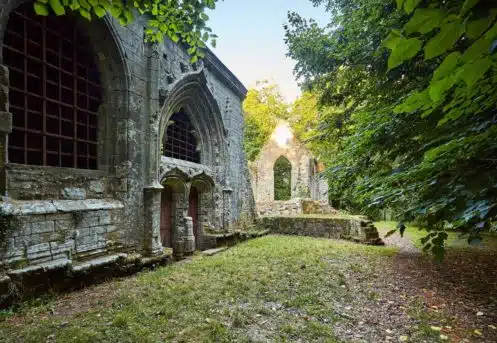 Chateau dans la foret