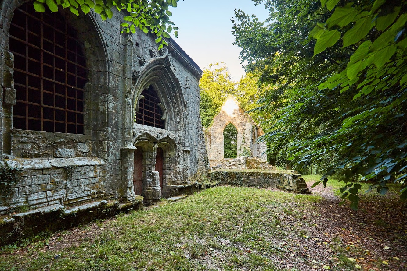 Chateau dans la foret