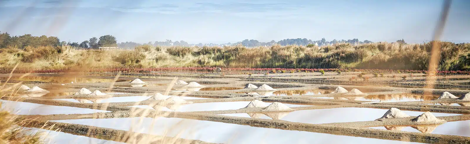 marais salants de saint armel