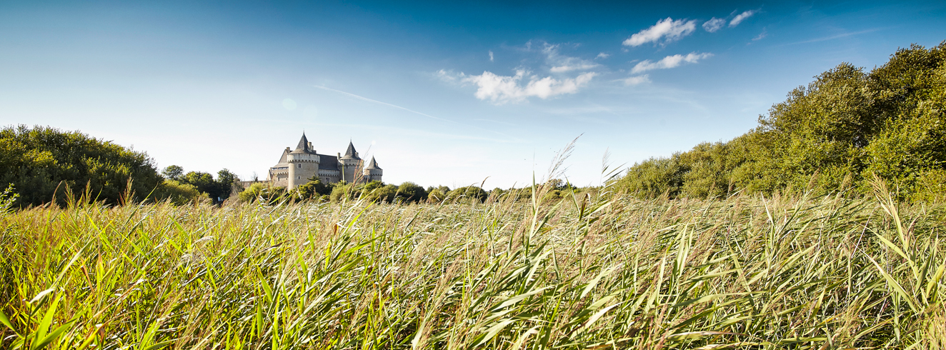 chateau de suscinio