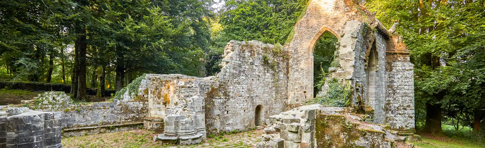 Rando Locmaria grand champ