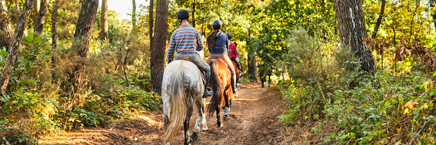 rando equestre autour vannes