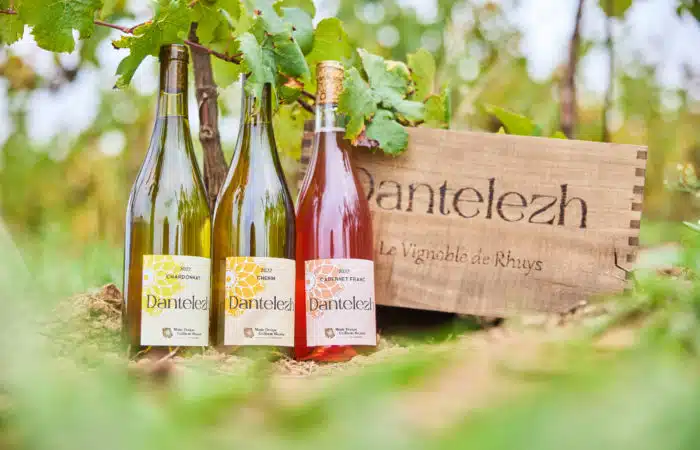 Dantelezh, vignoble de Rhuys