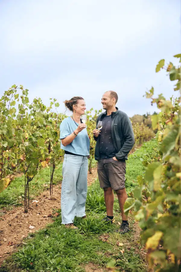 Dantelezh, vignoble de Rhuys